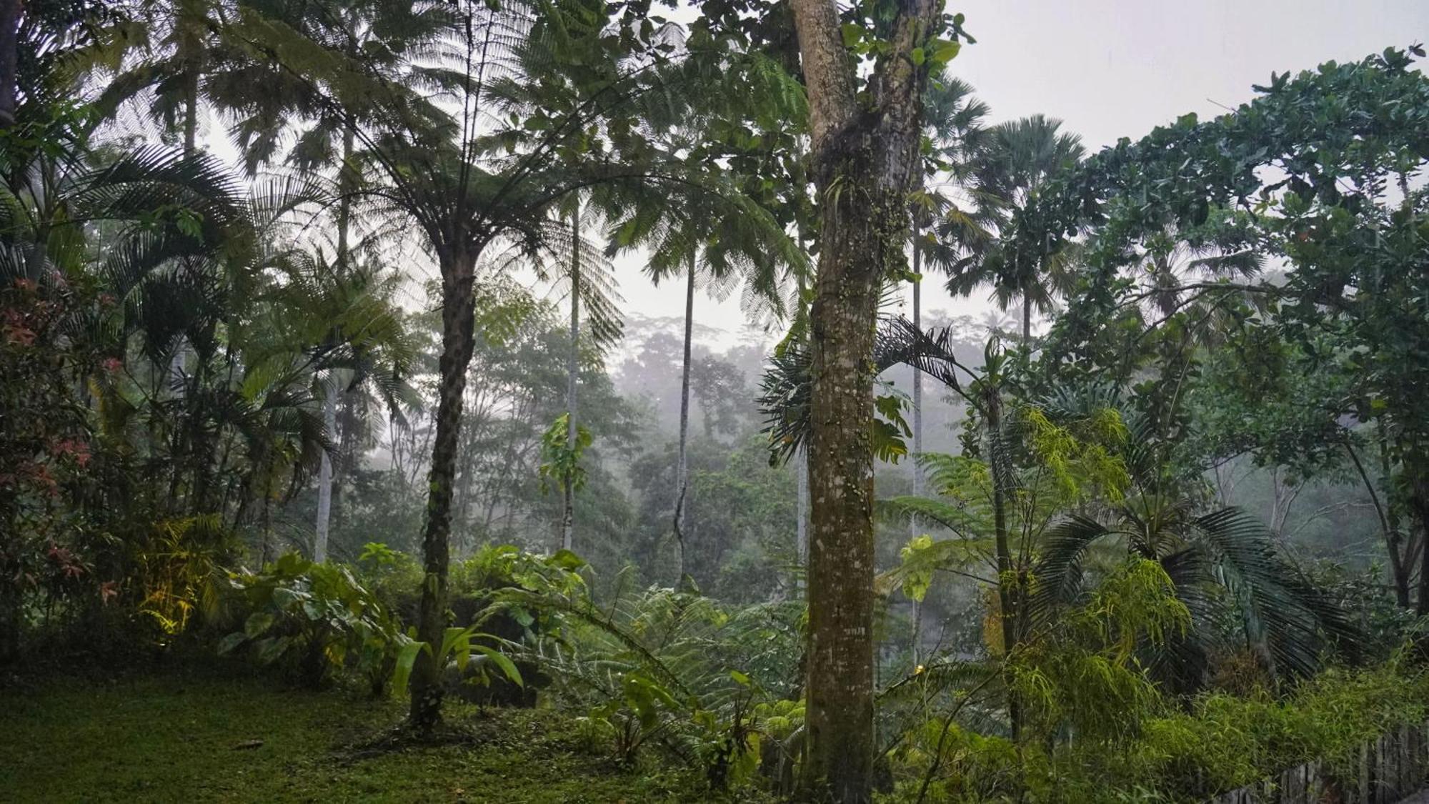 Sandhya Villa Ubud Zewnętrze zdjęcie
