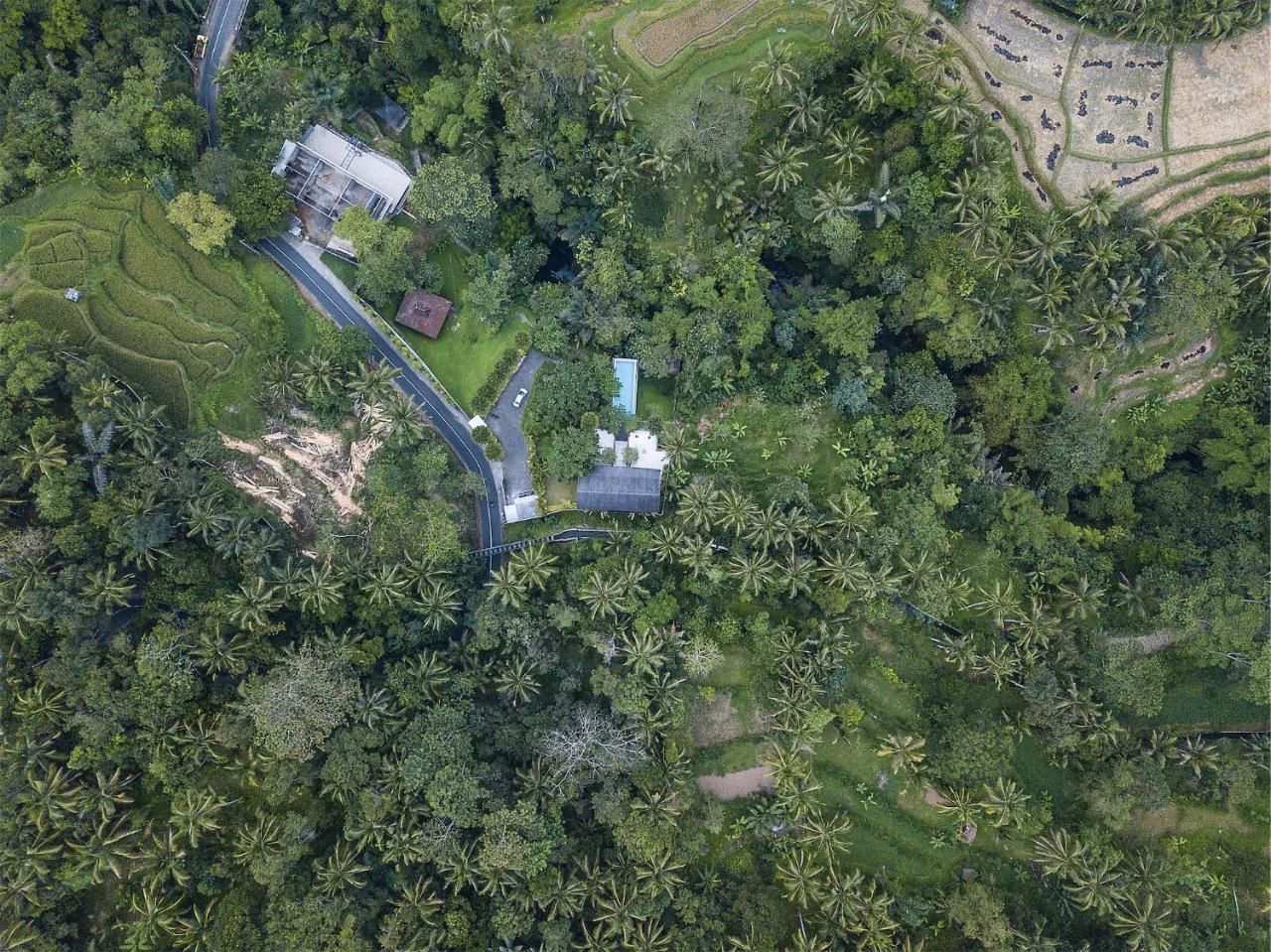 Sandhya Villa Ubud Zewnętrze zdjęcie